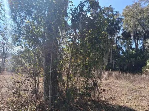 695 S Rodriquez St, Saint Augustine, FL 32084 photo 6