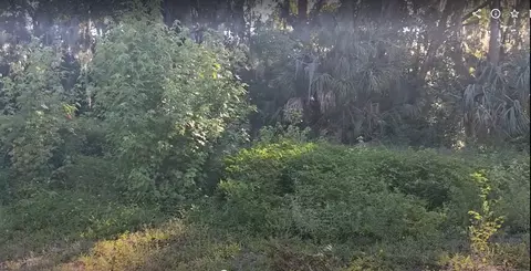 695 S Rodriquez St, Saint Augustine, FL 32084