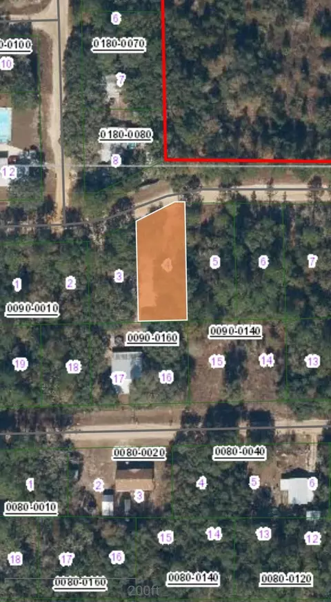 0 Britt St, Interlachen, FL 32148 photo 2