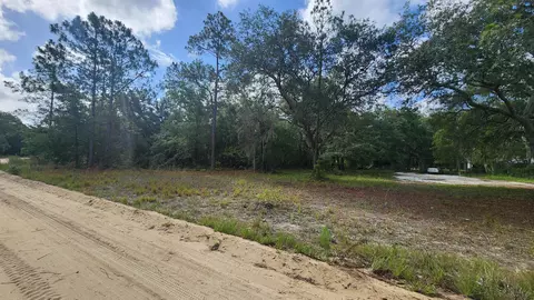 00 Britt St, Interlachen, FL 32148