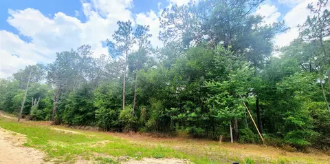 415 Pheasant Rd, Satsuma, FL 32189 photo 2