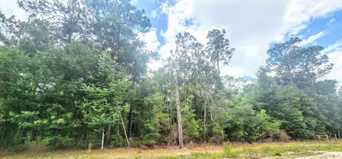 413 Pheasant Rd, Satsuma, FL 32189 photo 2
