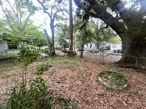 Exterior - 1663 W 30th St, Jacksonville, FL 32209 photo 6 of 6