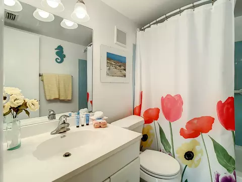 Bath - 2 Dondanville Rd #110, Saint Augustine, FL 32080 photo 3 of 3
