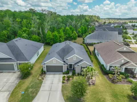View/Area - 132 Orchard Ln, Saint Augustine, FL 32095 photo 3 of 13
