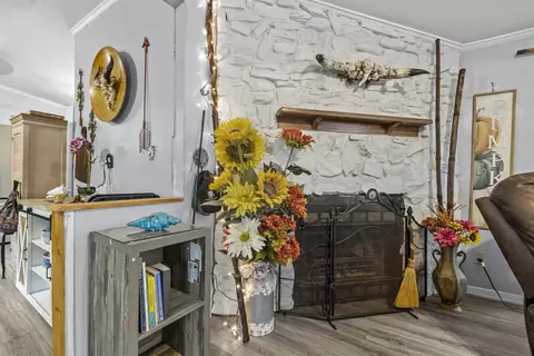 960 Cypress Rd, Saint Augustine, FL 32086 photo 9