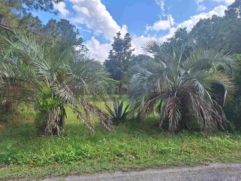 5610 Datil Pepper Rd, Saint Augustine, FL 32086 photo 42