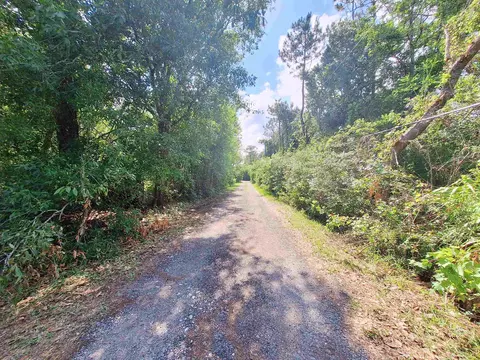5610 Datil Pepper Rd, Saint Augustine, FL 32086 photo 28