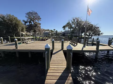 View/Area - 236 River Bend Pl #BLDG E, Welaka, FL 32193 photo 3 of 5