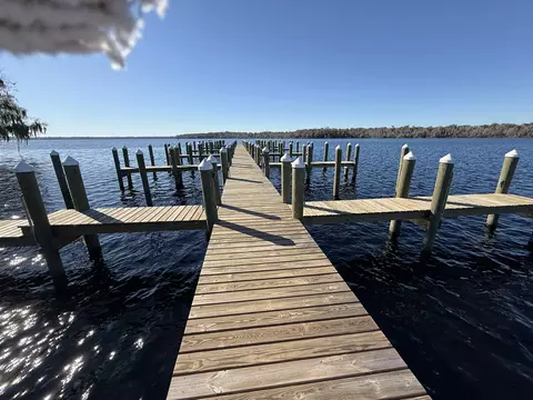View/Area - 236 River Bend Pl #BLDG E, Welaka, FL 32193 photo 4 of 5