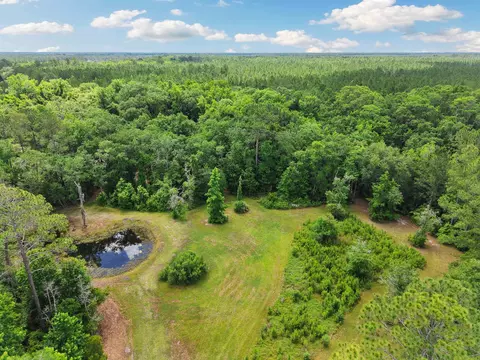 View/Area - 1805 Bennett Rd, Saint Augustine, FL 32092 photo 6 of 7