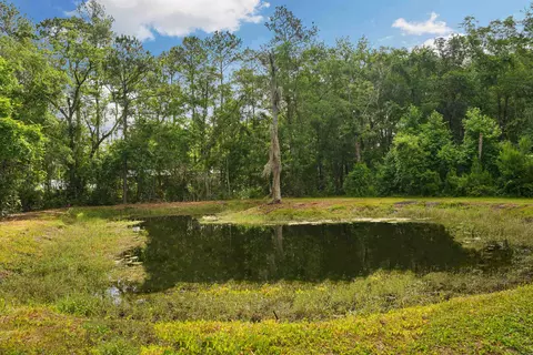 Other - 1805 Bennett Rd, Saint Augustine, FL 32092 photo 13 of 16
