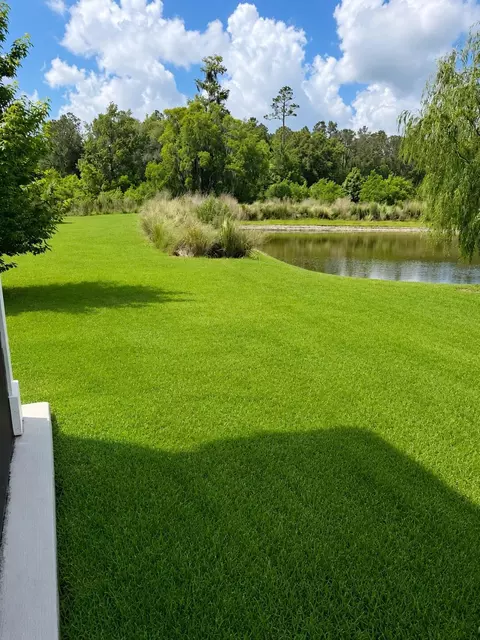 Exterior - 231 Willow Crk Ct, Saint Augustine, FL 32092 photo 4 of 9