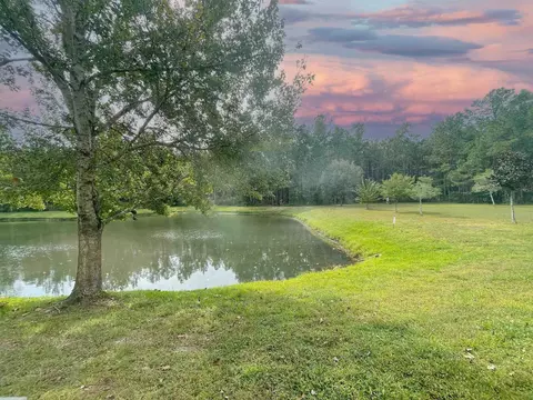 View/Area - 374 Scrub Jay Dr, Saint Augustine, FL 32092 photo 1 of 2