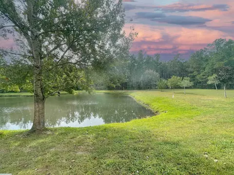 View/Area - 374 Scrub Jay Dr, Saint Augustine, FL 32092 photo 1 of 1