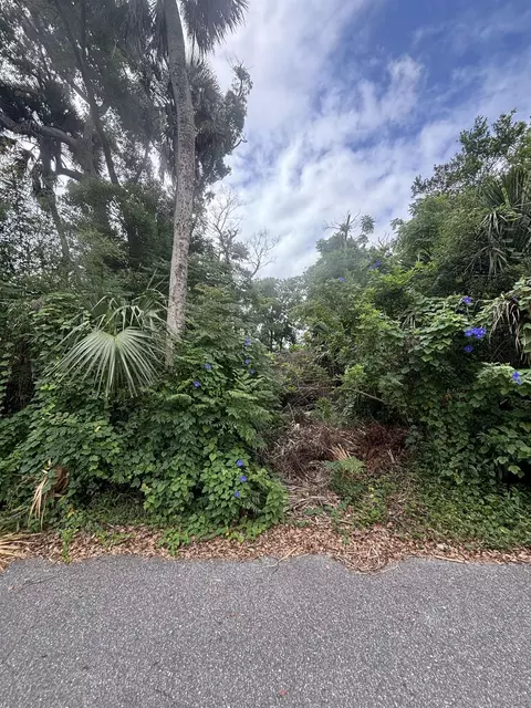 52 E San Carlos Ave, Saint Augustine, FL 32084 photo 4