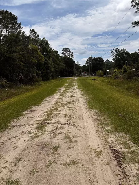4715 Roberta Street Hastings #FL 32145, Hastings, FL 32145 photo 4