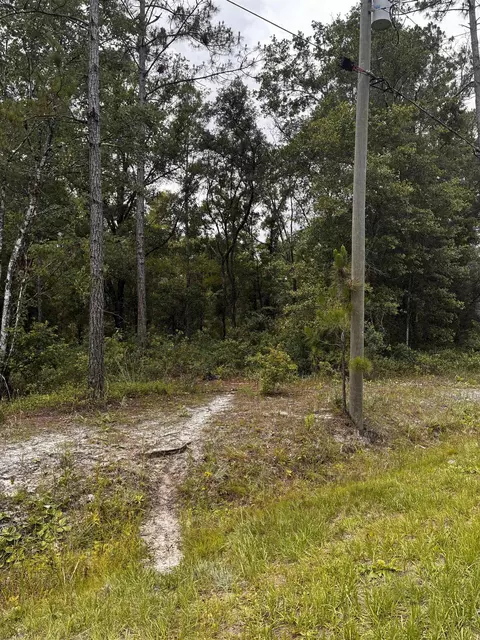 4715 Roberta Street Hastings #FL 32145, Hastings, FL 32145 photo 5