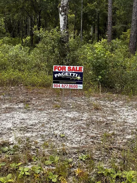 4715 Roberta Street Hastings #FL 32145, Hastings, FL 32145 photo 3