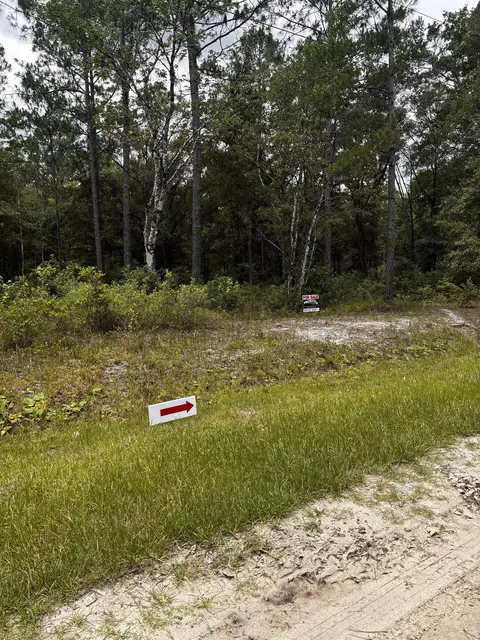4715 Roberta Street Hastings #FL 32145, Hastings, FL 32145