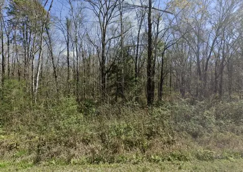 10510 Underwood Ave, Hastings, FL 32145
