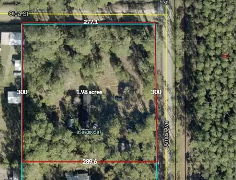 0 Amos Ave, Hastings, FL 32145