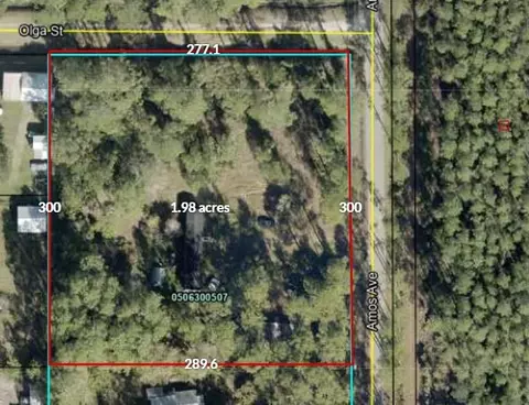 0 Amos Ave, Hastings, FL 32145
