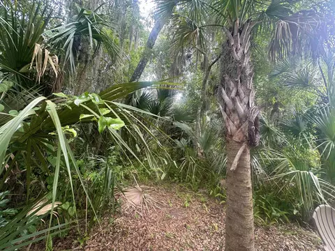 26 S Whitney St, Saint Augustine, FL 32084 photo 3