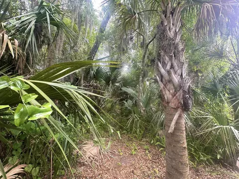 26 S Whitney St, Saint Augustine, FL 32084 photo 13
