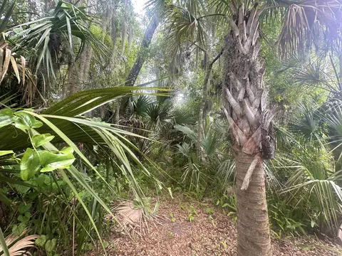 26 S Whitney St, Saint Augustine, FL 32084 photo 13