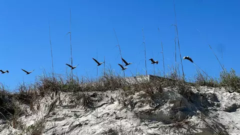 Other - 2 11th St, Saint Augustine Beach, FL 32080 photo 4 of 12