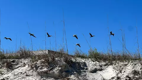 Other - 2 11th St, Saint Augustine Beach, FL 32080 photo 5 of 14