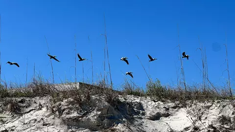 Other - 2 11th St, Saint Augustine Beach, FL 32080 photo 5 of 12