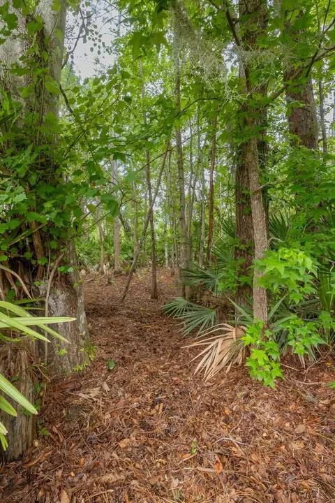 Exterior - 309 Elza Ln, Saint Augustine, FL 32086 photo 11 of 11