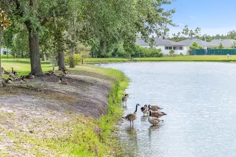 View/Area - 216 Deerfield Glen Dr, Saint Augustine, FL 32086 photo 3 of 3