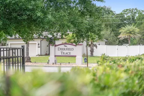 View/Area - 216 Deerfield Glen Dr, Saint Augustine, FL 32086 photo 1 of 3
