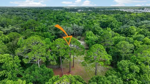 1950 Lightsey Rd, Saint Augustine, FL 32084 photo 46