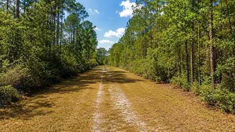 116 Terri Ave, Georgetown, FL 32139 photo 4