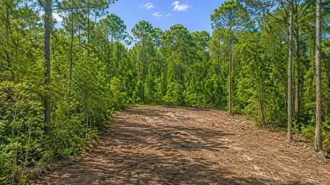 116 Terri Ave, Georgetown, FL 32139