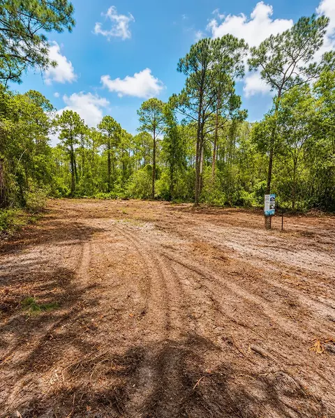 116 Terri Ave, Georgetown, FL 32139 photo 1