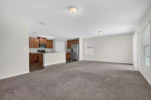 233 Sweet Mango Trl, Saint Augustine, FL 32086 photo 15