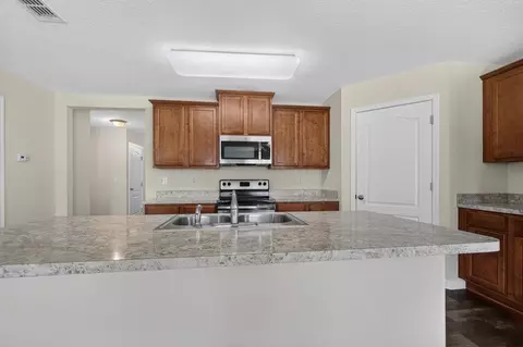 233 Sweet Mango Trl, Saint Augustine, FL 32086 photo 13