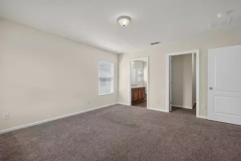 233 Sweet Mango Trl, Saint Augustine, FL 32086 photo 25