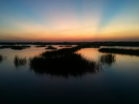 View/Area - 143 Egret Rd, Saint Augustine, FL 32086 photo 9 of 11