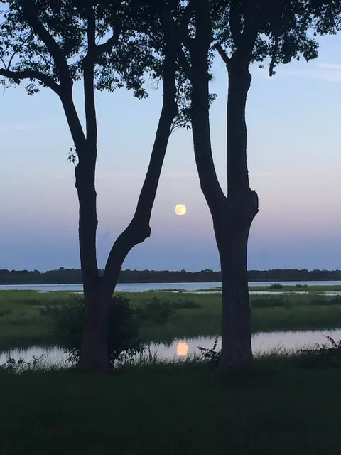 View/Area - 143 Egret Rd, Saint Augustine, FL 32086 photo 11 of 11
