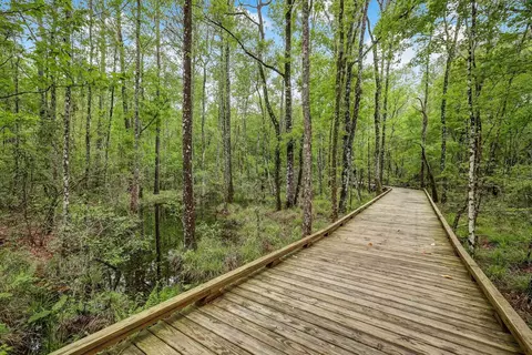 Other - 132 Palisade Dr, Saint Augustine, FL 32092 photo 12 of 17