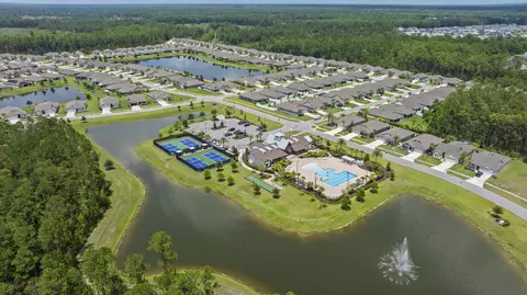 View/Area - 46 Eagles Landing Ln, Saint Augustine, FL 32095 photo 14 of 15