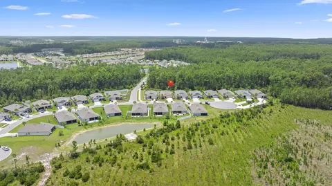 View/Area - 46 Eagles Landing Ln, Saint Augustine, FL 32095 photo 6 of 15