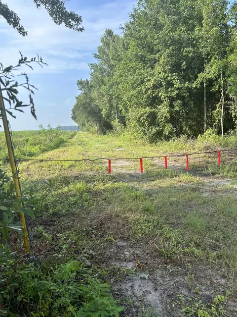 0 County Road 208, Saint Augustine, FL 32092 photo 5