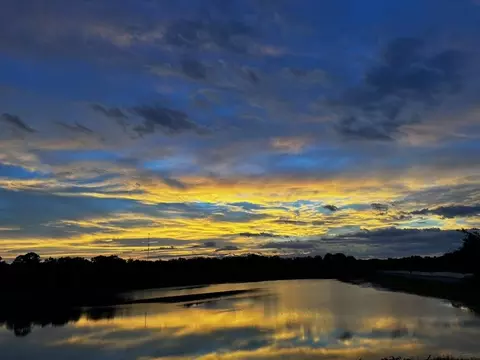 View/Area - 50 Sandy Palm Trl, Saint Augustine, FL 32086 photo 4 of 5